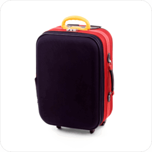 Suit Luggage